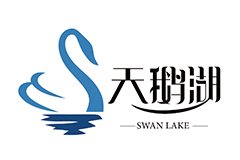 客户十一